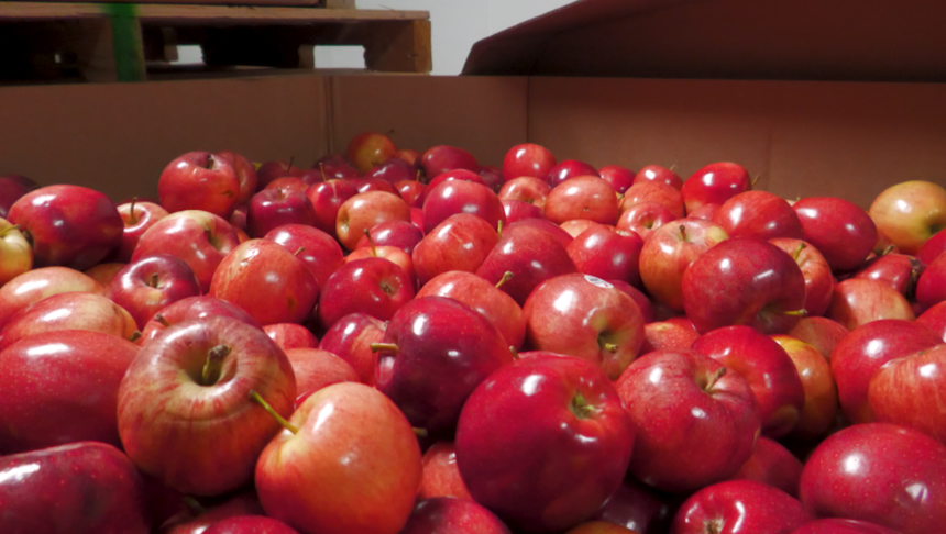The Idaho Foodbank's facilities serve more than 200,000 people any given month.